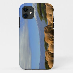 Coques Pour iPhone Kilimanjaro et éléphants