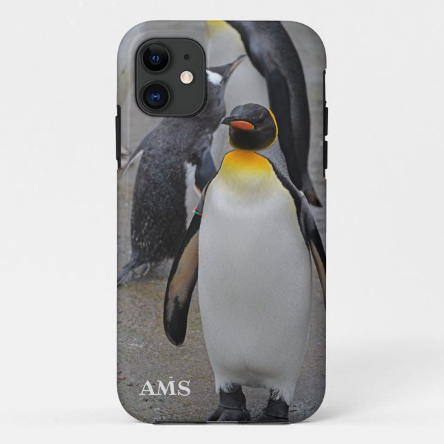 Coques Case-Mate iPhone King Penguin & Friends Edinburgh Zoo Écosse (Dos)
