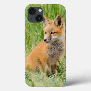 Etui iPhone Case-Mate Kit de Fox rouge dans l'herbe près du repaire