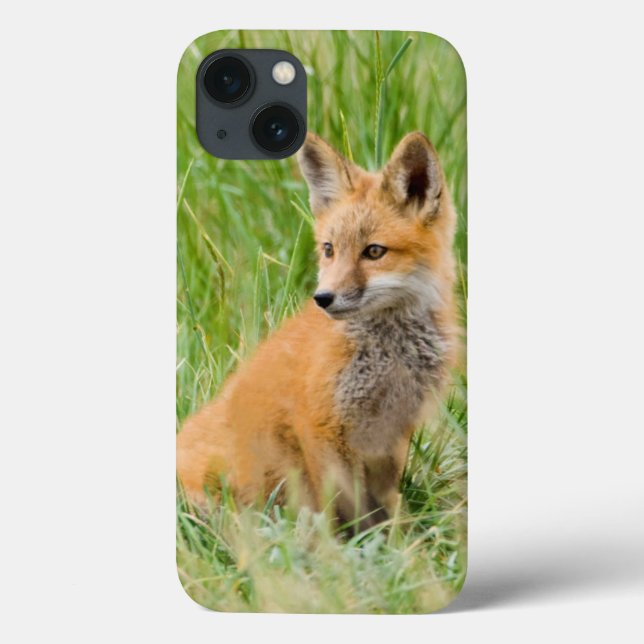 Coques Case-Mate iPhone Kit de Fox rouge dans l'herbe près du repaire (Verso)