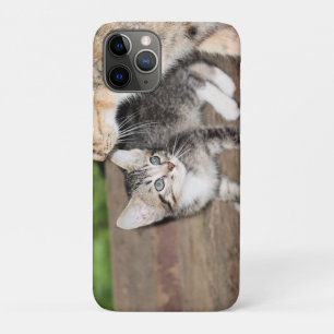 Case-Mate iPhone Case Kitten