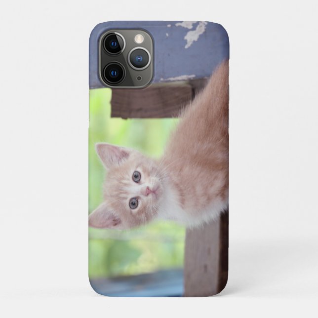 Coques Case-Mate iPhone Kitten (Dos)