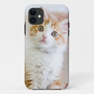 Coque Case-Mate Pour iPhone Kitty observé par bleu doux