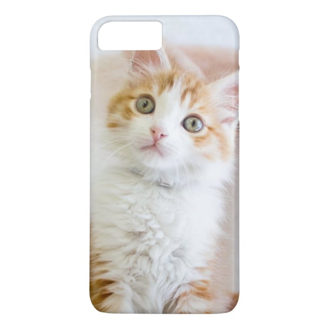 Coques Case-Mate iPhone Kitty observé par bleu doux (Dos)