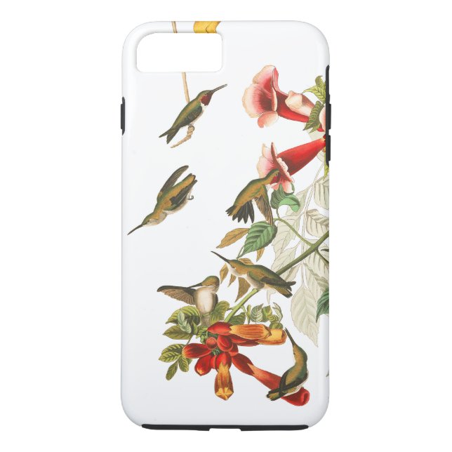 Coques Case-Mate iPhone La faune d'oiseaux de colibri fleurit la caisse de (Dos)