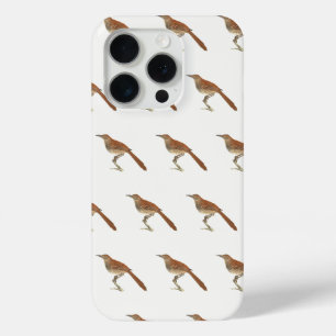 Coque Case-Mate iPhone La Grive Brown ou le Trasher Brown, New York Birds