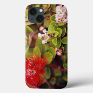 Coques Pour iPhone La Lehua S'Éclate Dans Les Volcans D'Hawaï