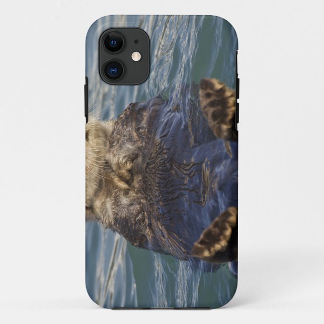 Coques Case-Mate iPhone La loutre de mer joue sur les icebergs à Surprise  (Dos)