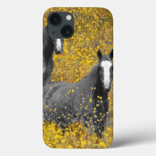 Etui iPhone 13 La moutarde et les chevaux