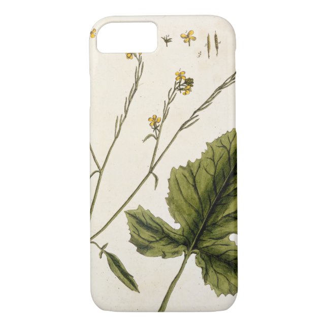 Coques Case-Mate iPhone La moutarde, plaquent 446 "d'un de fines herbes (Dos)