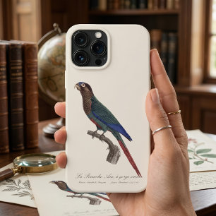 Case-Mate iPhone Case La Perruche Ara, à gorge variée 