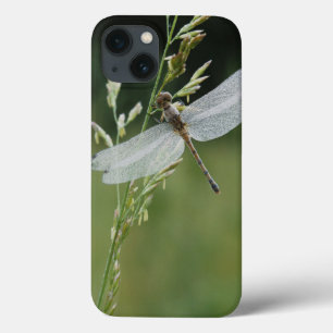 Coques Pour iPhone La rosée a couvert la libellule de Darner