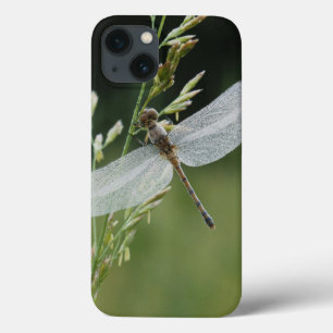 iPhone 13 Coque La rosée a couvert la libellule de Darner