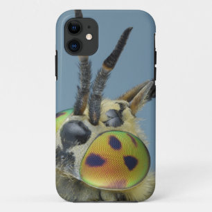 Etui iPhone Case-Mate La tête des cerfs communs volent