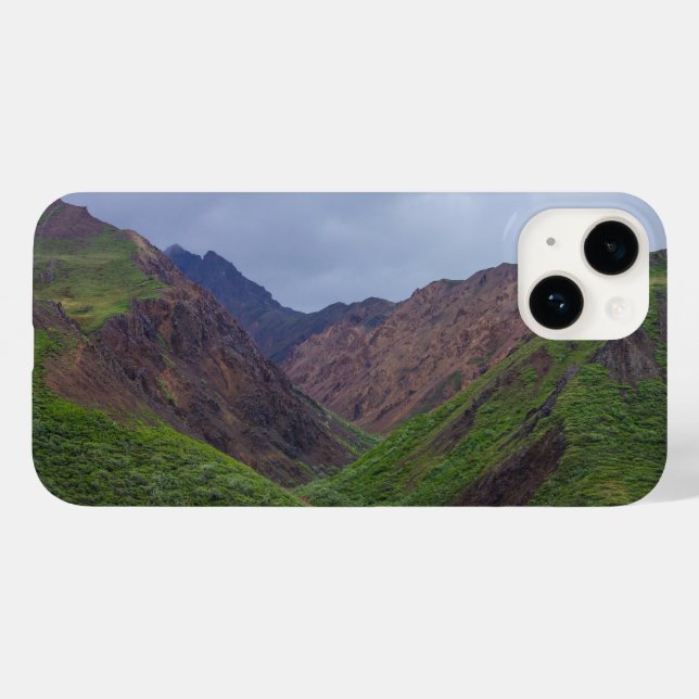 Coques Case-Mate iPhone La vallée de la rivière Toklat à Denali (Verso (horizontal))