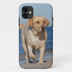 Coque Case-Mate Pour iPhone Laboratoire d'été