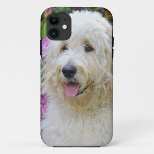Coques Pour iPhone Labradoodle