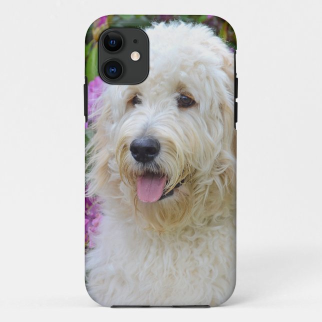 Coques Case-Mate iPhone Labradoodle (Dos)