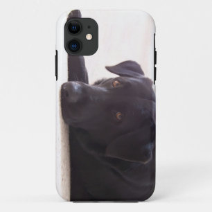 Coque iPhone 11 labrador retriever
