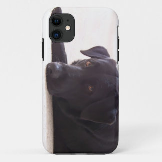Coque iPhone 11 labrador retriever