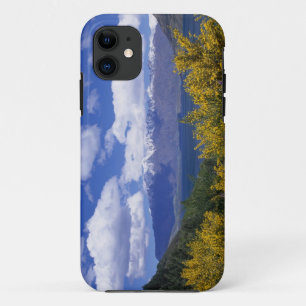 Coques Pour iPhone Lac Wakatipu et The Remarkables, Queenstown,