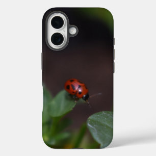 Coque Pour iPhone 16 Ladybug