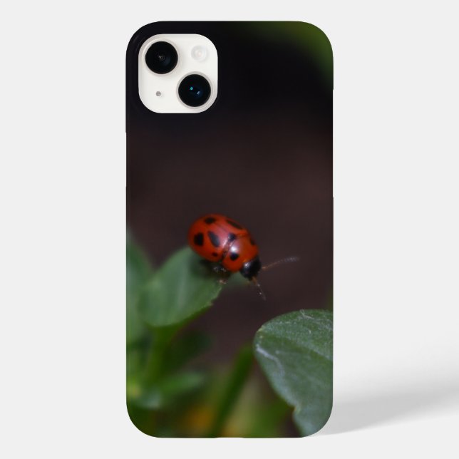 Coques Case-Mate iPhone Ladybug (Verso)