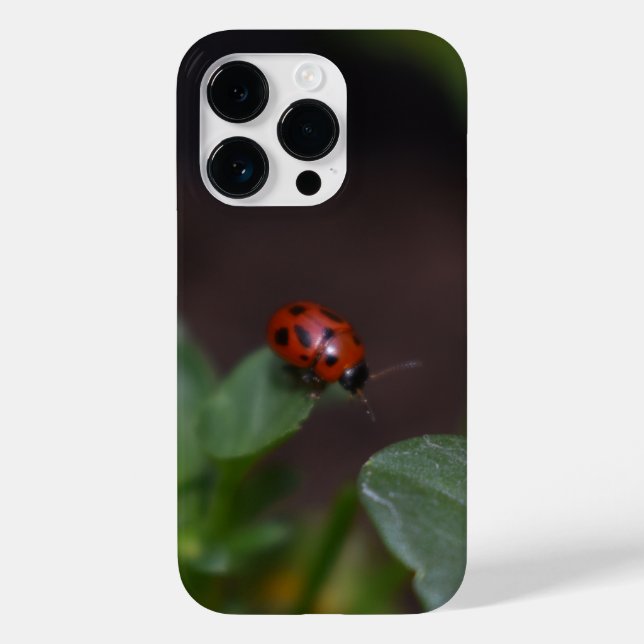 Coques Case-Mate iPhone Ladybug (Verso)