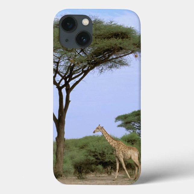 Coques Case-Mate iPhone L'Afrique, Botswana, delta d'Okavango. Du sud (Verso)