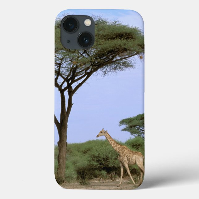 Coques Case-Mate iPhone L'Afrique, Botswana, delta d'Okavango. Du sud (Verso)