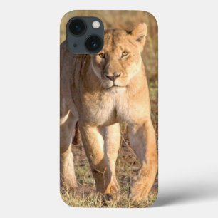 Etui iPhone Case-Mate L'Afrique, Tanzanie, Serengeti. Lion et lionne
