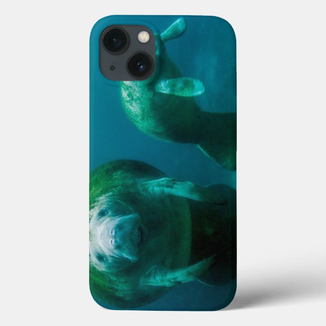 Coques Case-Mate iPhone Lamantin mère avec son veau à Crystal River (Verso)