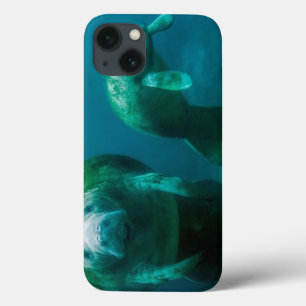 Coques Pour iPhone Lamantin mère avec son veau à Crystal River