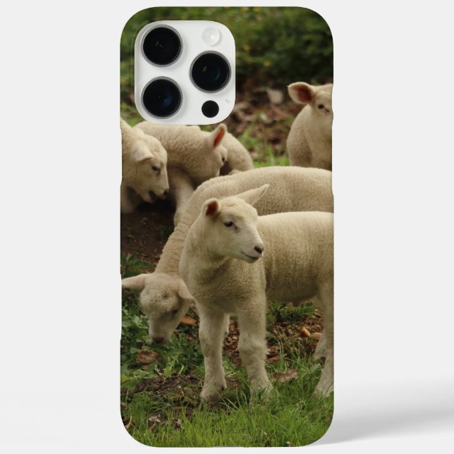 Coques Case-Mate iPhone Lamb  (Verso)