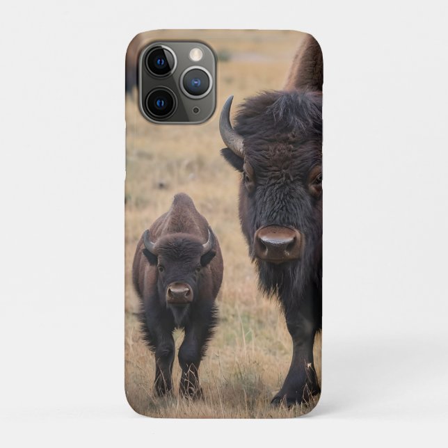 Coques Case-Mate iPhone "L'amour sauvage : le bison et son veau" (Dos)
