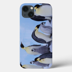 Case-Mate iPhone Case L'Antarctique, pingouin d'Emporer ((Aptenodytes