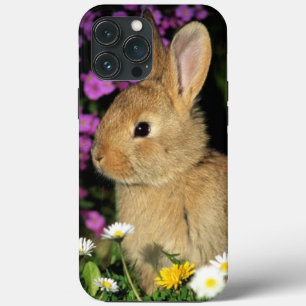 Case-Mate iPhone Case Lapin