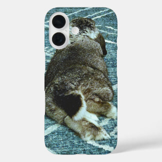 Coque Pour iPhone 16 Lapin 1 détendu