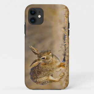Coques Pour iPhone lapin à queue blanche de l'est sautant