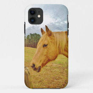 Coque iPhone 11 Lapin blanc et Cheval jaune
