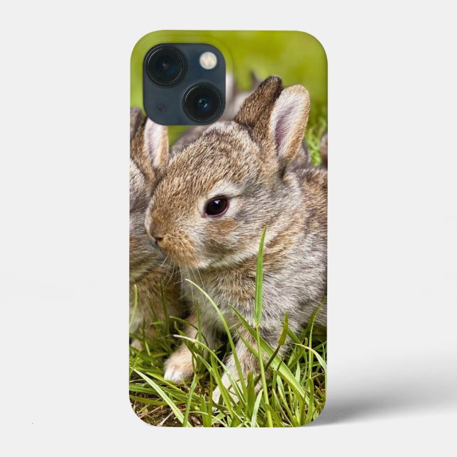 Coques Case-Mate iPhone Lapin mignon lapin (Verso)