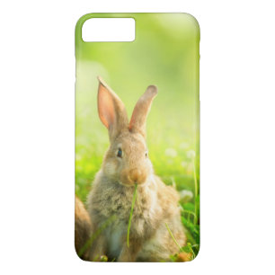 Coque iPhone 8 Plus/7 Plus Lapins de Pâques
