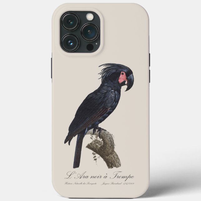 Coques Case-Mate iPhone L'Ara Noir a Trompe / Palm Cockatoo (Verso)