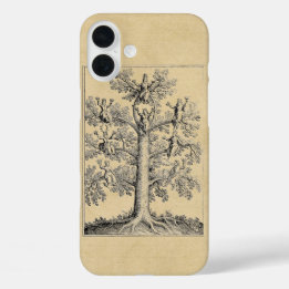 Coques iPhone 16 Plus L'arbre de vie en tant que philosophie