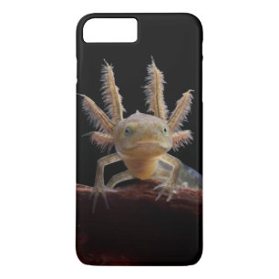 Coque iPhone 8 Plus/7 Plus Larve crêté de triton