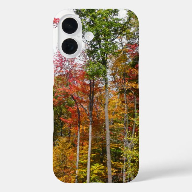 Coques Case-Mate iPhone L'automne dans la forêt Photographie d'automne col (Verso)