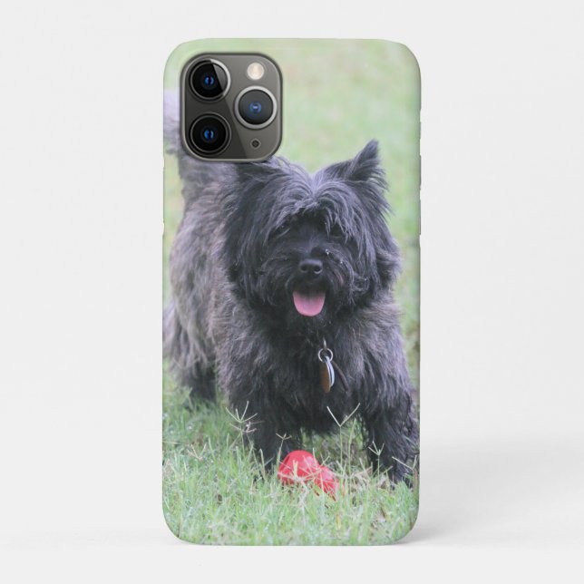 Coques Case-Mate iPhone Le Caire (Dos)