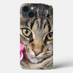 Etui iPhone 13 Le chat tigré mignon avec s'est levé