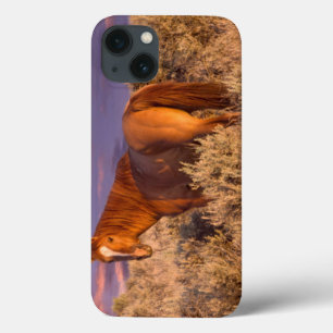 Etui iPhone Case-Mate Le cheval sauvage du comté de Harney se tient