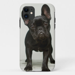 Etui iPhone Case-Mate Le chiot le plus mignon de bouledogue français